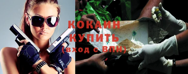 шишки Балабаново