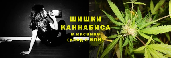 шишки Балабаново