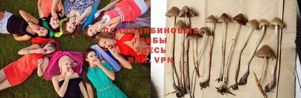 синтетический гашиш Аркадак