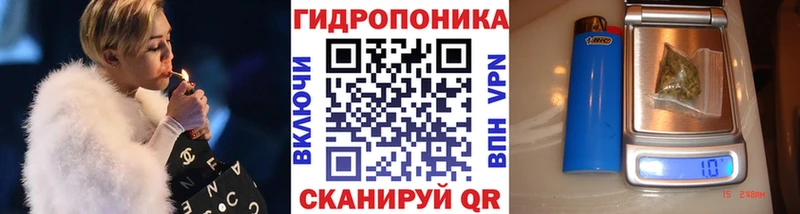 где можно купить наркотик  Чердынь  Канабис SATIVA & INDICA 